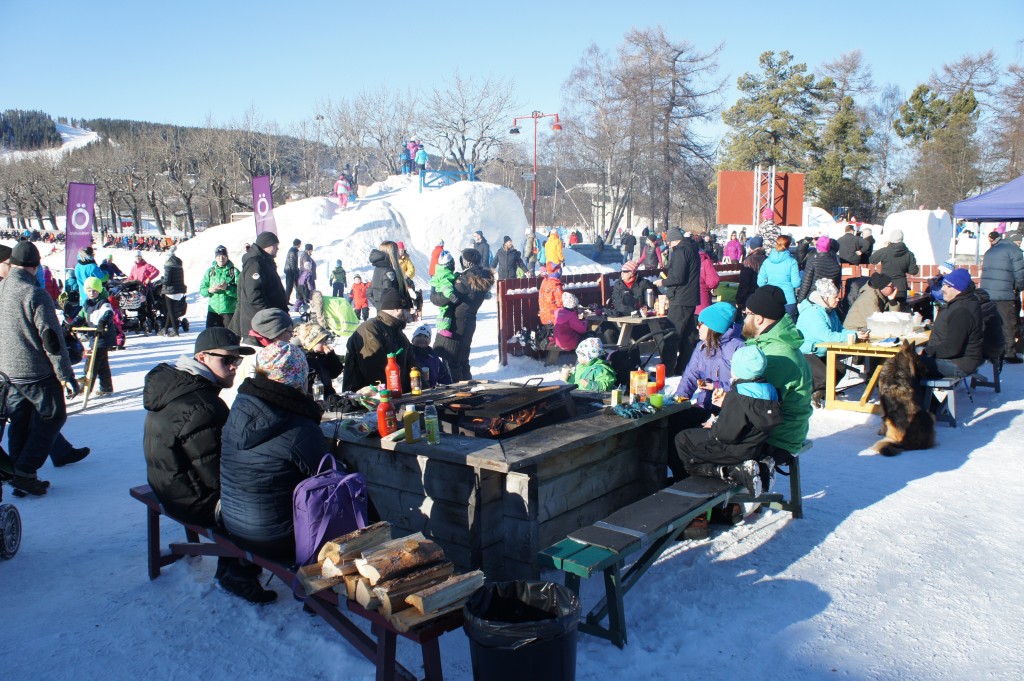 Grillning i Vinterparken